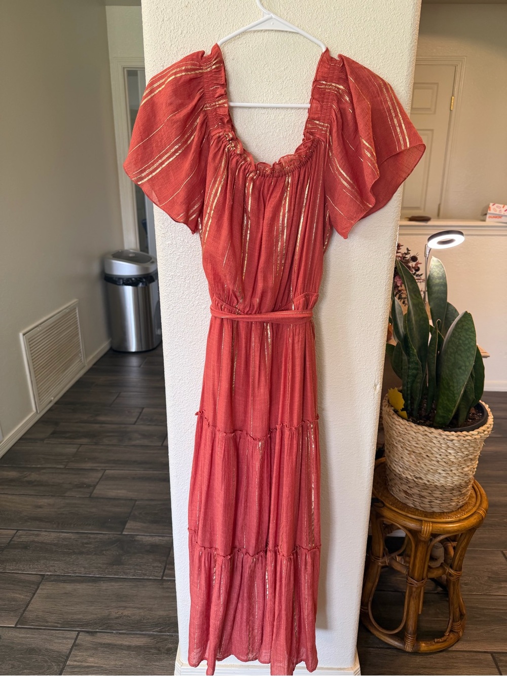 Luxology Rust Maxi Dress with Gold Stripe Accents
